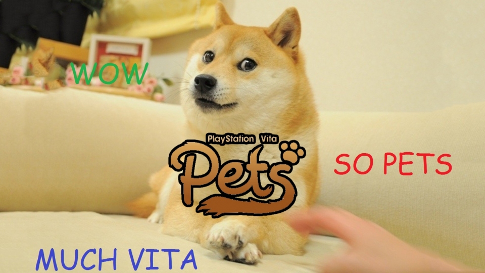 Обзор PS Vita Pets для PS Vita