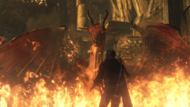    Dragons Dogma: Dark Arisen  