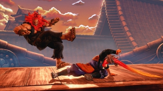     Street Fighter V   