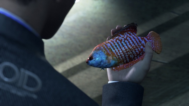 ������ �������� ������ � ����-������ Detroit: Become Human