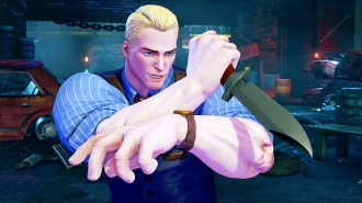       Street Fighter V: Arcade Edition