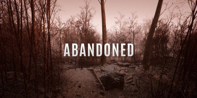    Abandoned   29 