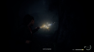    Alan Wake 2,     