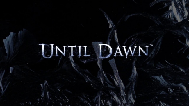       Until Dawn 2013 