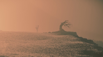       Ghost of Y&#333;tei