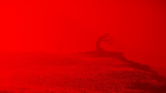       Ghost of Y&#333;tei