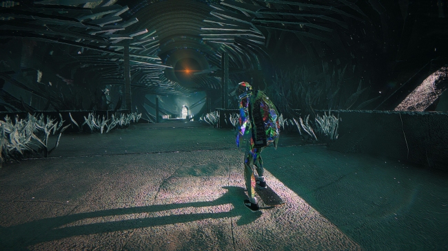 ����� Skate Story